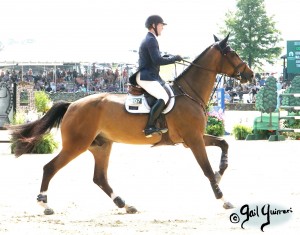 Upperville Jumper Classic QUIMI DEL MASET rider Mclain Ward