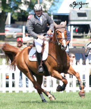 Upperville Jumper photos copyright Gail Guirreri