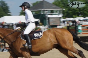 Upperville Jumper photos copyright Gail Guirreri