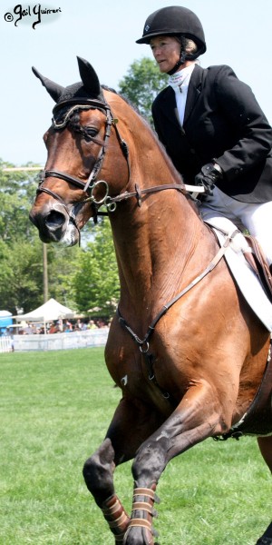 Upperville Jumper photos copyright Gail Guirreri