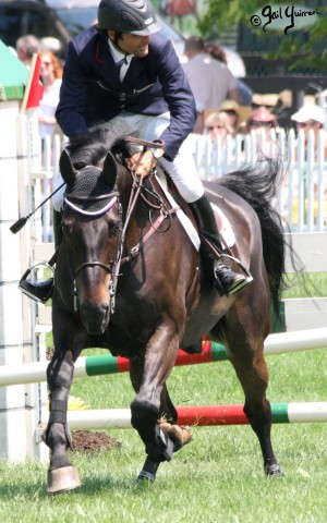 Upperville Jumper photos copyright Gail Guirreri