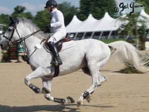 Upperville Jumper photos copyright Gail Guirreri