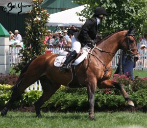 Upperville Jumper photos copyright Gail Guirreri