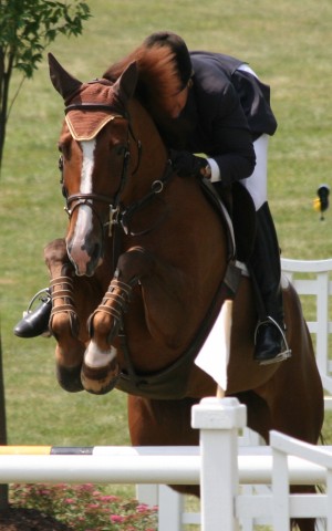 Upperville Jumper photos copyright Gail Guirreri