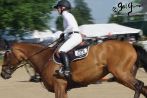 Upperville Jumper photos copyright Gail Guirreri