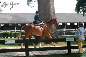 Upperville Sidesaddle 2005