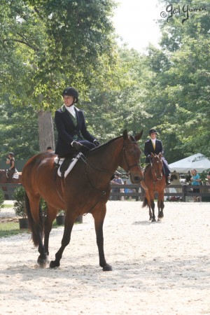 Upperville Sidesaddle 2005