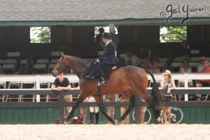 Upperville Sidesaddle 2005