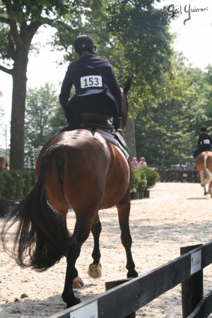 Upperville Sidesaddle 2005