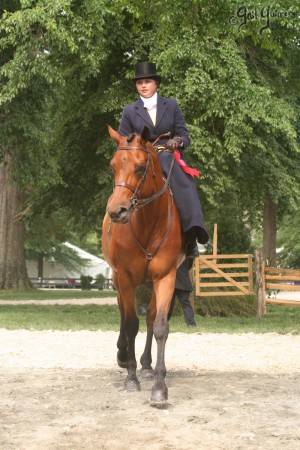 Upperville Sidesaddle 2005