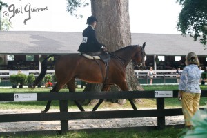 Upperville Sidesaddle 2005