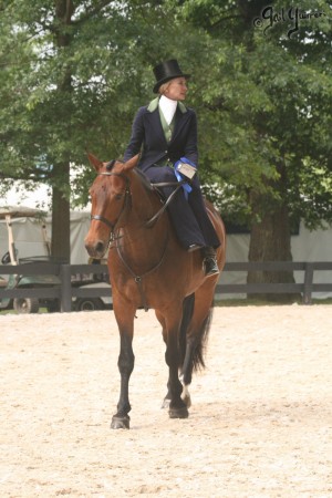 Upperville Sidesaddle 2005