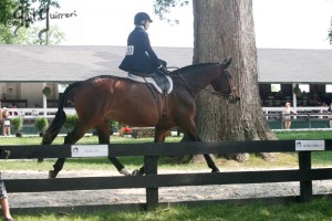 Upperville Sidesaddle 2005