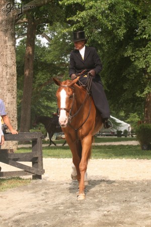 Upperville Sidesaddle 2005