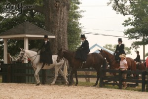 Upperville Sidesaddle 2005