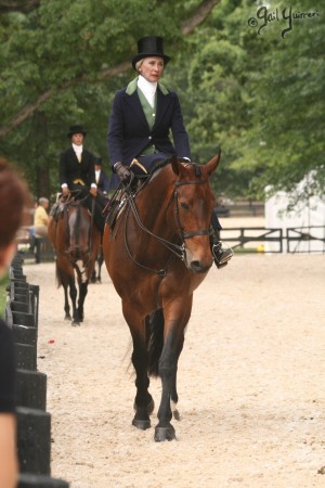 Upperville Sidesaddle 2005