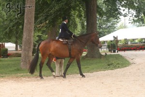 Upperville Sidesaddle 2005