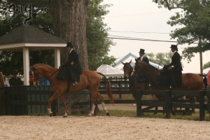 Upperville Sidesaddle 2005