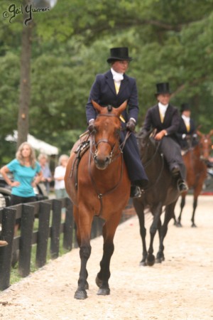 Upperville Sidesaddle 2005