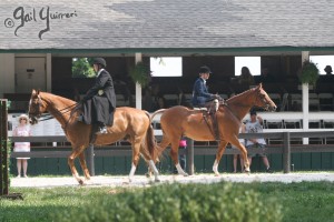 Upperville Sidesaddle 2005