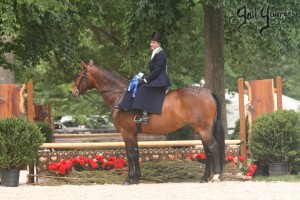 Upperville Sidesaddle 2005