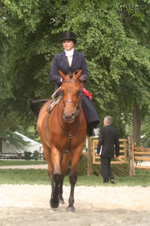 Upperville Sidesaddle 2005