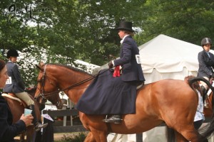 Upperville Sidesaddle 2005