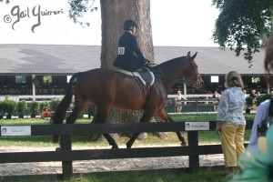 Upperville Sidesaddle 2005