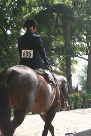 Upperville Sidesaddle 2005