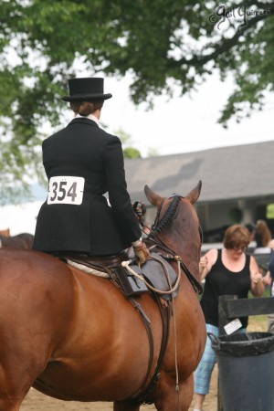 Upperville Sidesaddle 2005