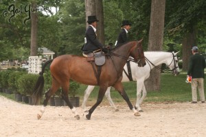 Upperville Sidesaddle 2005