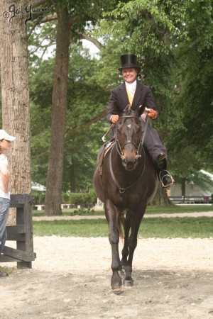 Upperville Sidesaddle 2005