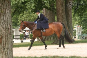 Upperville Sidesaddle 2005