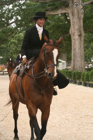 Upperville Sidesaddle 2005