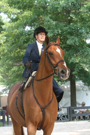 Upperville Sidesaddle 2005