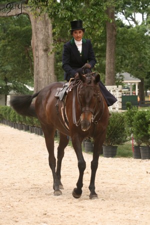 Upperville Sidesaddle 2005