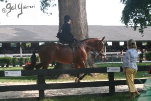 Upperville Sidesaddle 2005