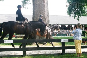 Upperville Sidesaddle 2005