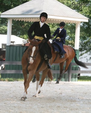 Upperville Sidesaddle 2005