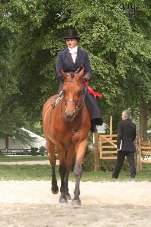 Upperville Sidesaddle 2005