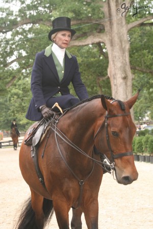 Upperville Sidesaddle 2005