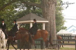 Upperville Sidesaddle 2005