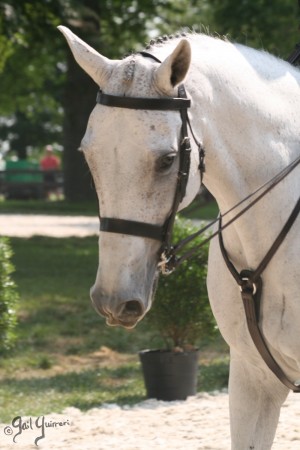 Upperville Sidesaddle 2005