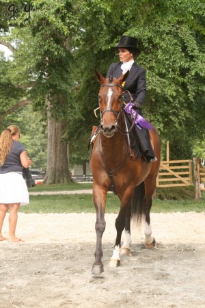 Upperville Sidesaddle 2005