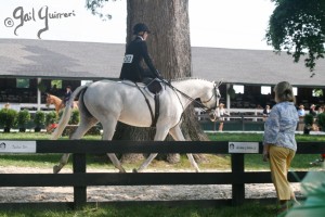 Upperville Sidesaddle 2005