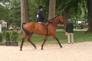 Upperville Sidesaddle 2005