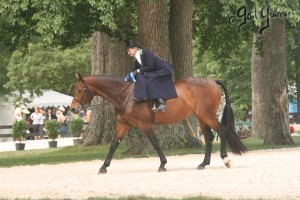 Upperville Sidesaddle 2005