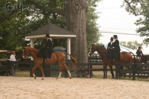 Upperville Sidesaddle 2005