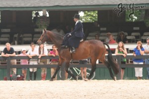 Upperville Sidesaddle 2005