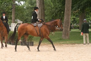 Upperville Sidesaddle 2005